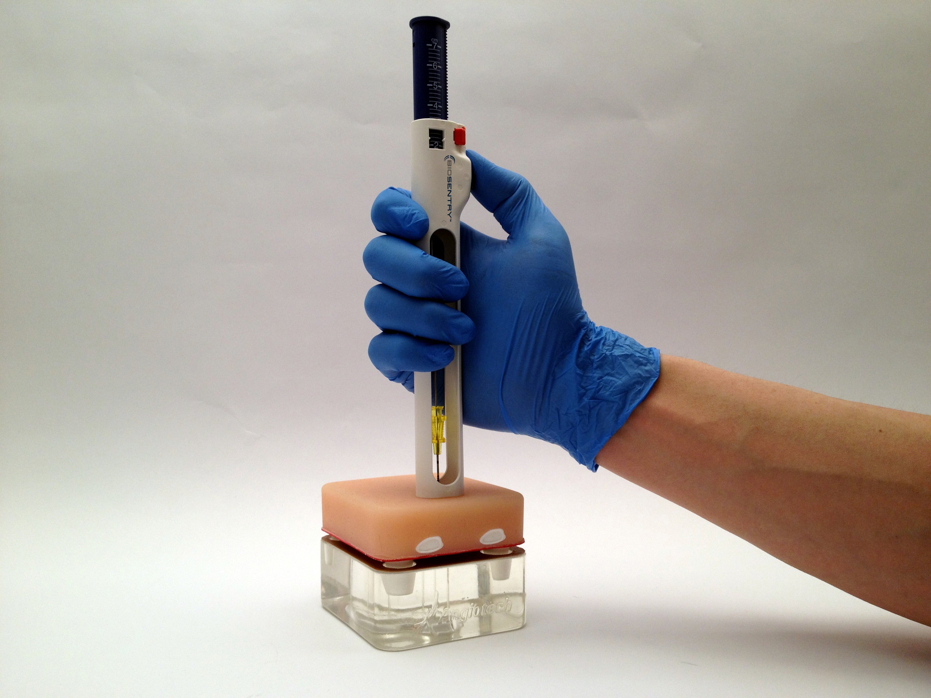 Lung-Biopsy-model-with-pleural-linings-and-pleural-space
