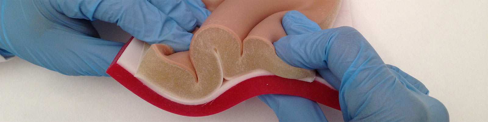 Multi layer human tissue plate model - Pulse MDM