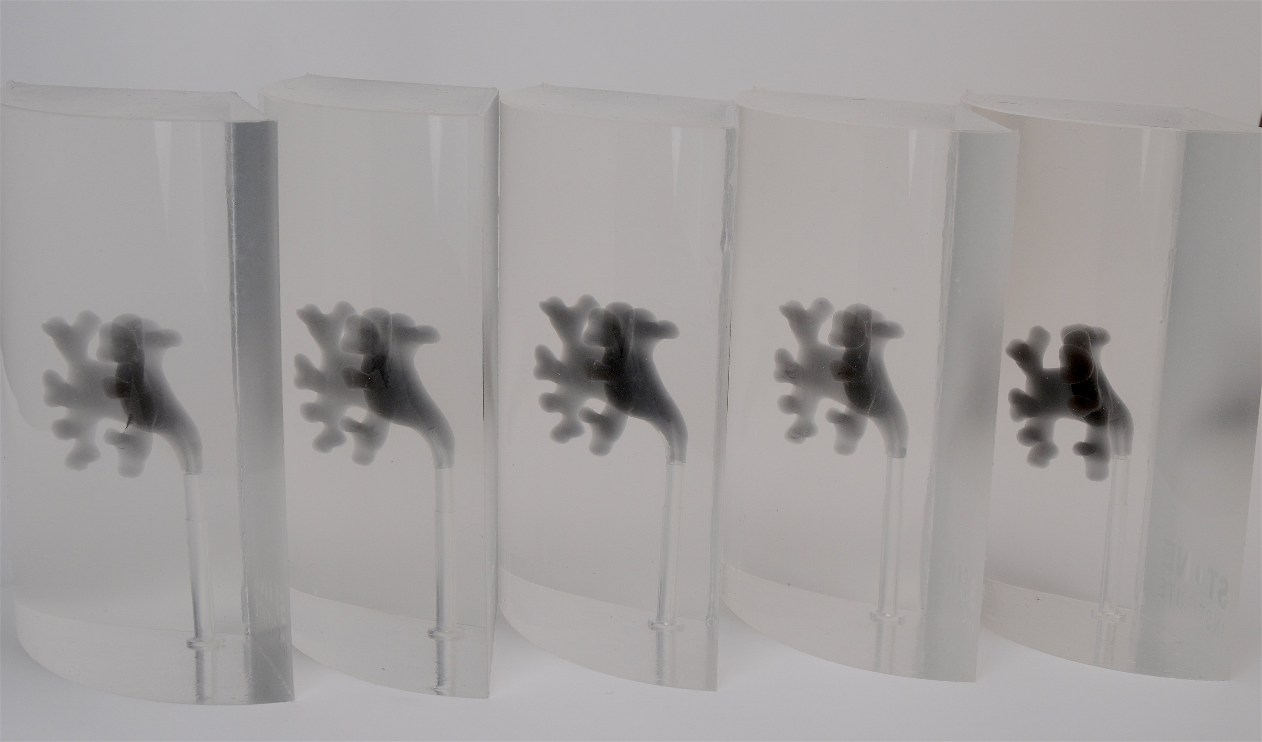 Pulse Medical Demonstration Models Kidney Calyces - Pulse MDM