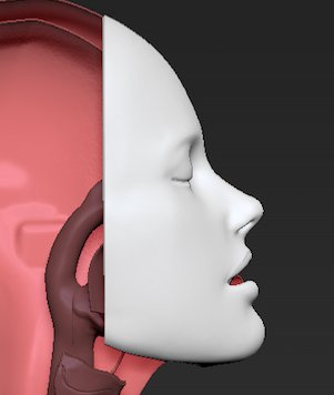 Pulse Medical Demonstration Models procedures - Pulse MDM
