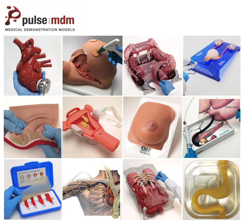 Pulse Medical Demonstration Models | Pulse MDM