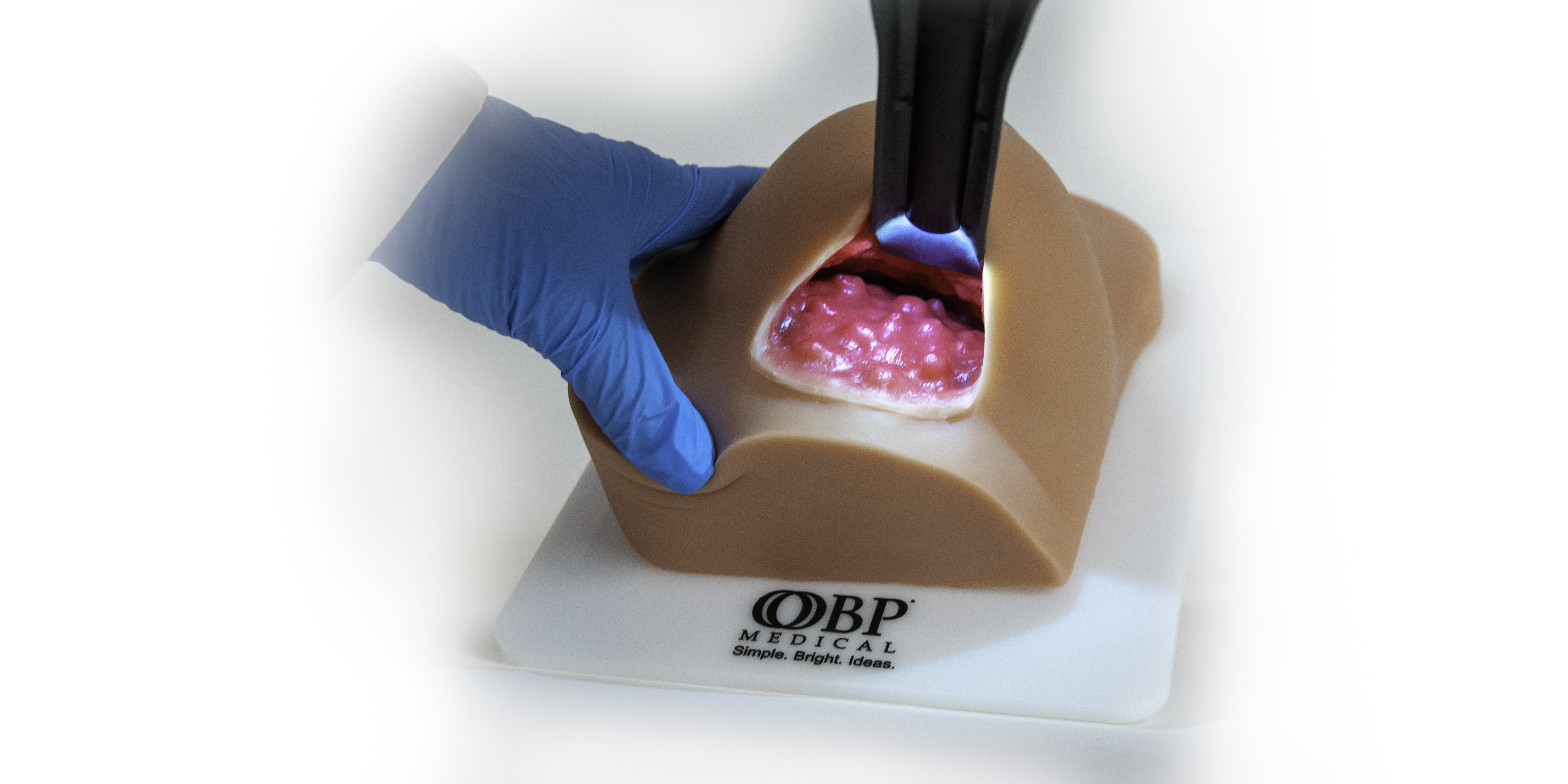 Custom anatomy models for medical device demonstrations - Pulse MDM