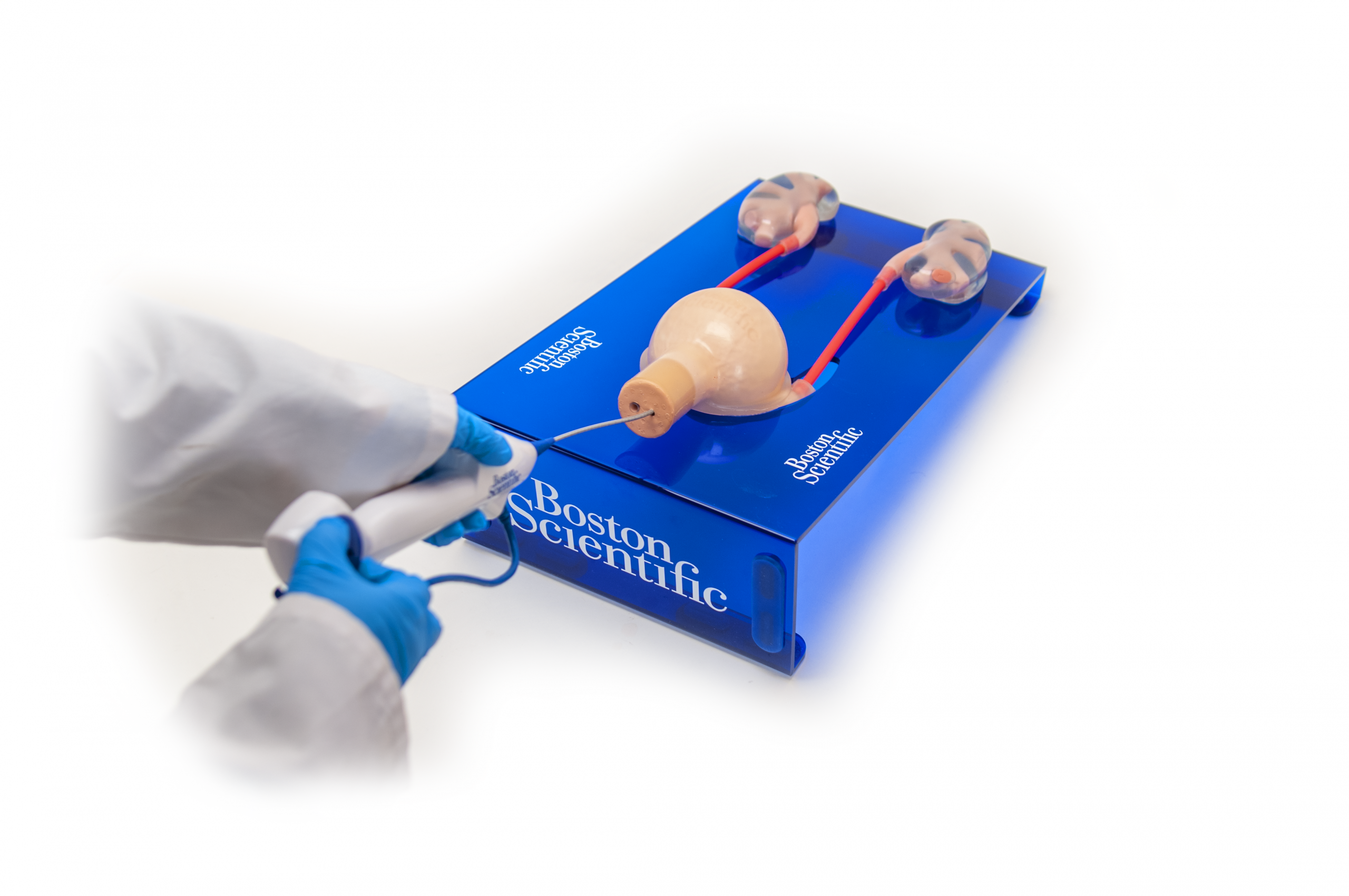 Soft kidney training models with kidney stones - Pulse MDM