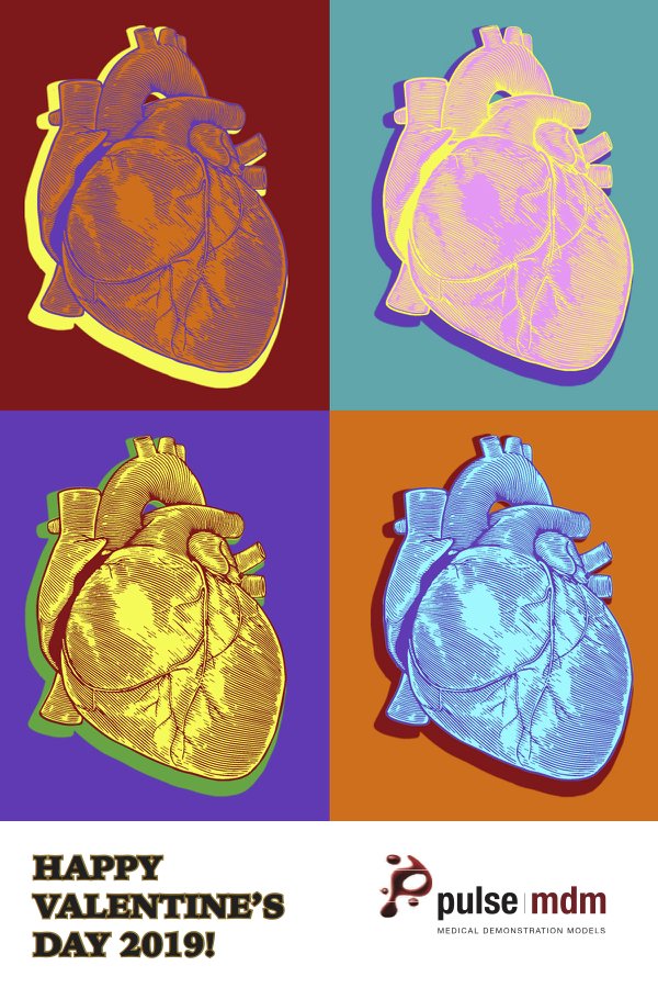Anatomy valentine 2019 | Pulse MDM