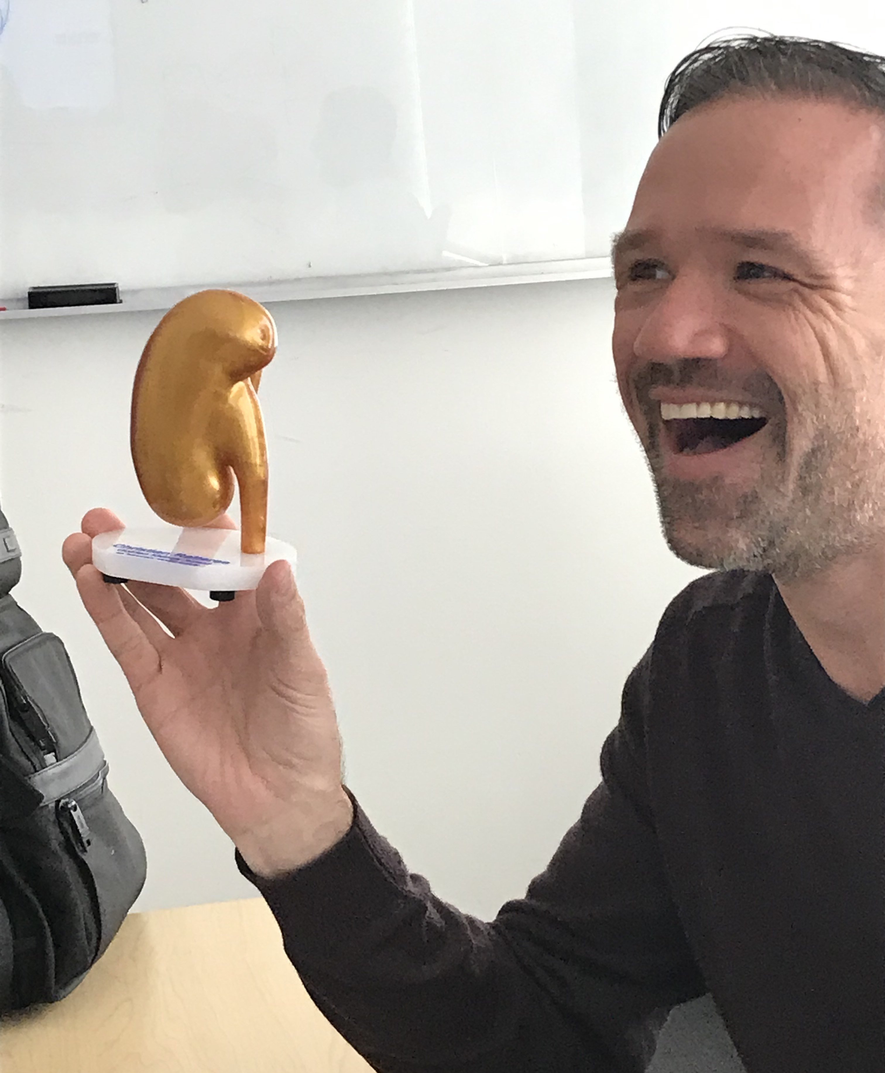 Kidney Model | Pulse MDM