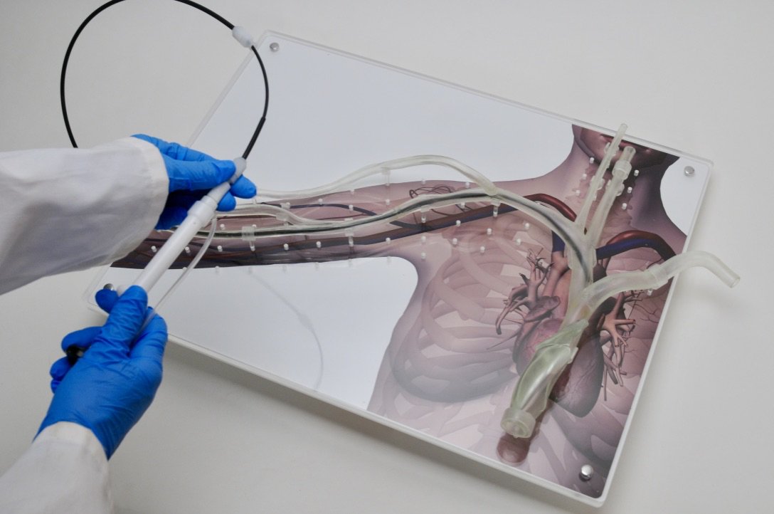 Custom vascular Access Model for Medical Device training - Pulse MDM