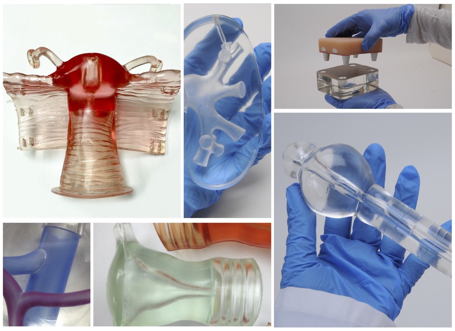 Clear Anatomy Models - Pulse MDM