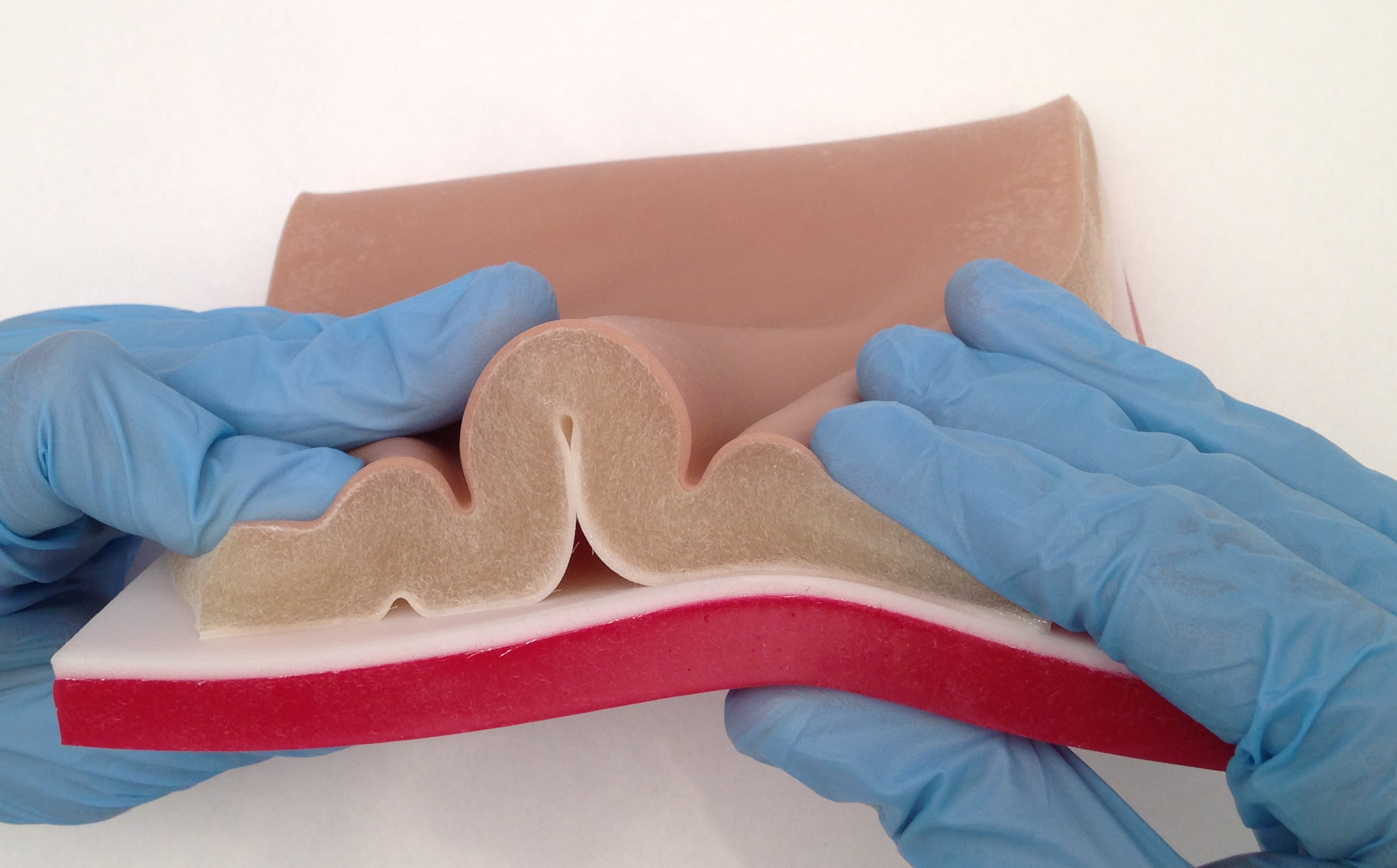 Six-Layer Abdomnial Tissue Plate