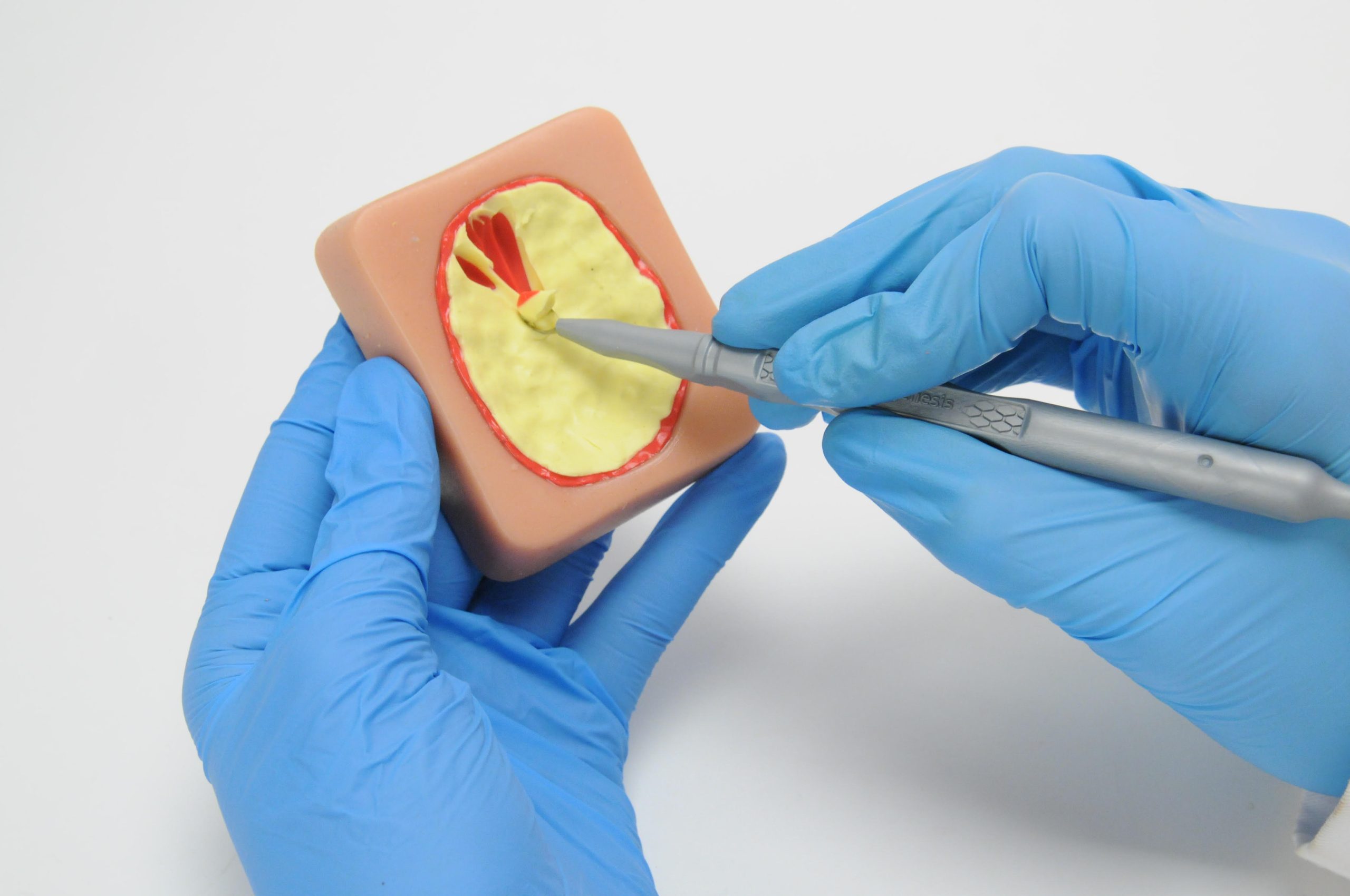 PulseMDM’s Approach to Interactive Medical Demonstrations