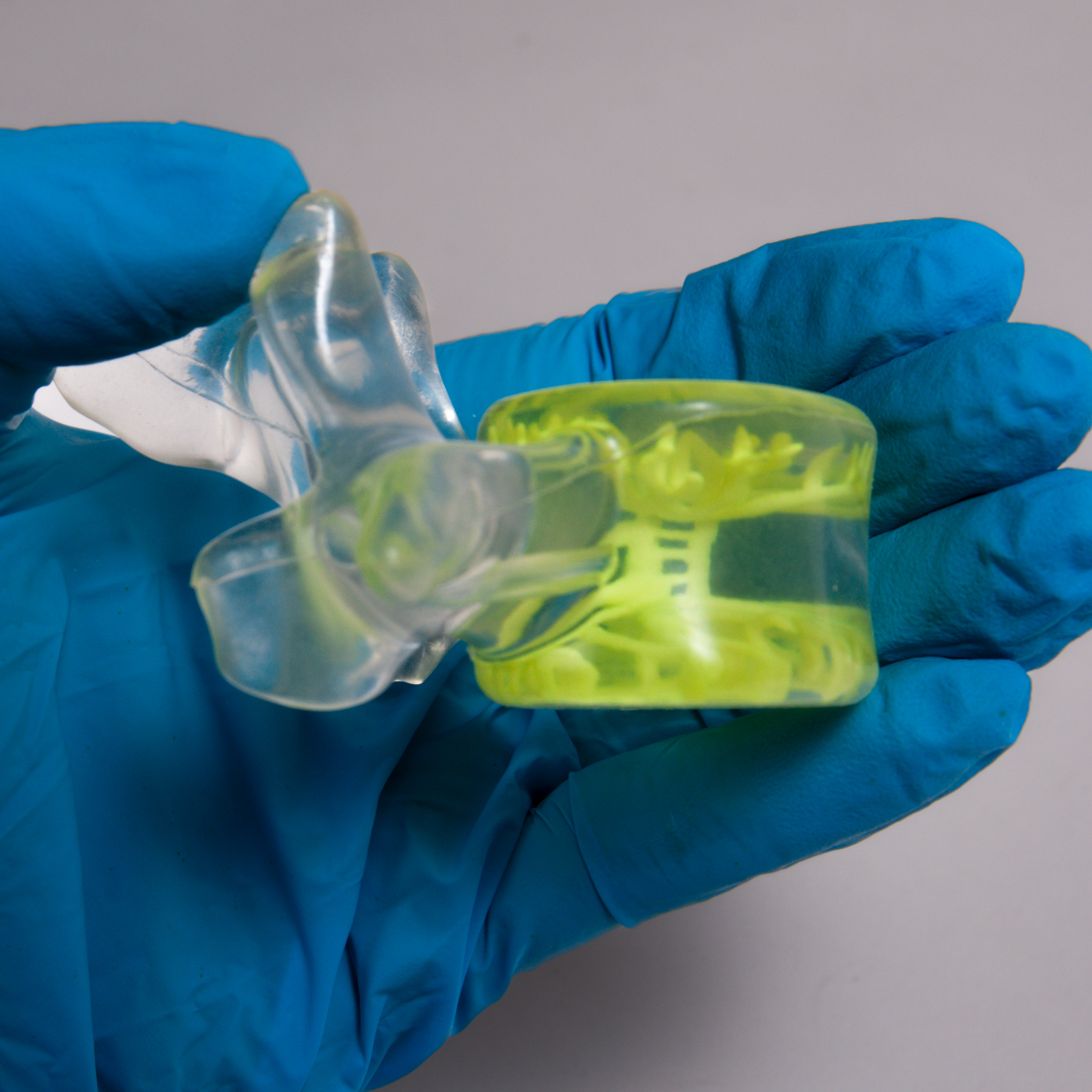 a perfectly clear vertebrae showing a delicate and accurate basivertebral nerve